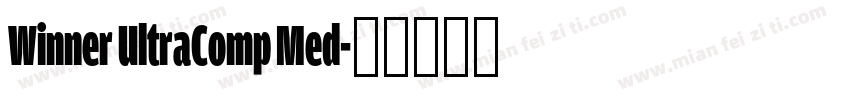 Winner UltraComp Med字体转换